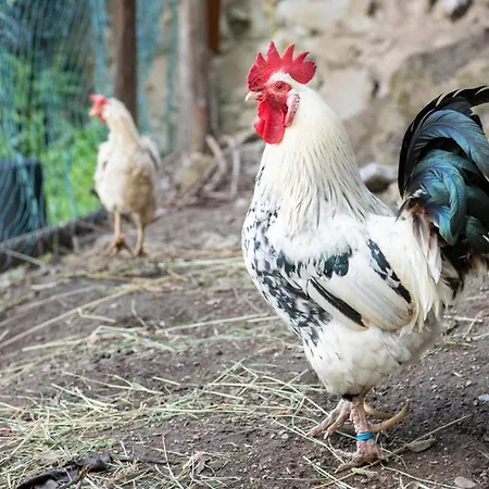 Apartman Bauernhof Stempf