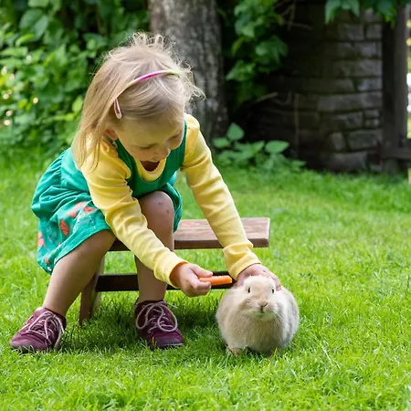 Bauernhof Stempf Apartman *