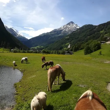 Bauernhof Stempf *