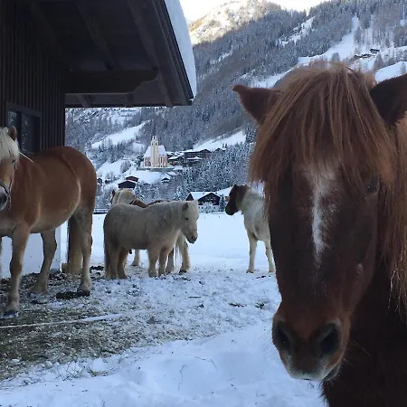 Bauernhof Stempf Heiligenblut