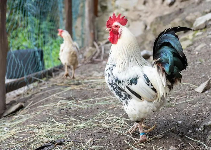 Apartman Bauernhof Stempf