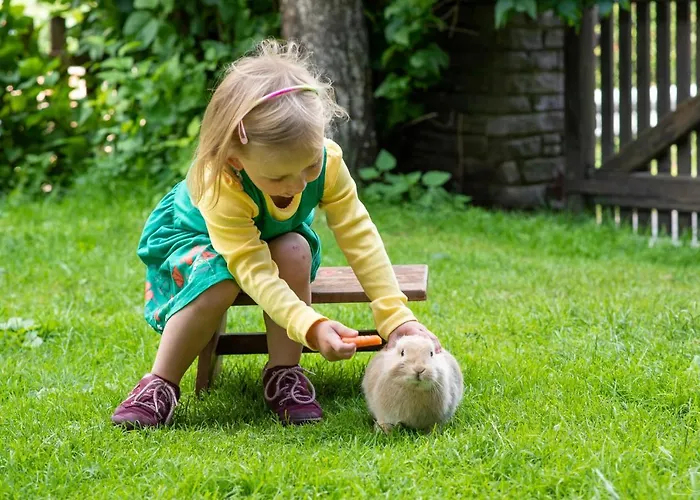 Bauernhof Stempf Appartamento *