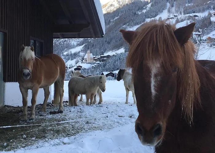 Bauernhof Stempf Heiligenblut